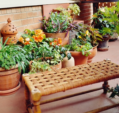 a-garden-for-herbs