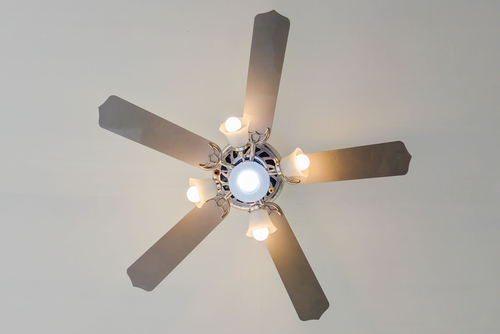 Pop Ceiling Design For Hall With 2 Fans, Ceiling Fan Decorative Plate