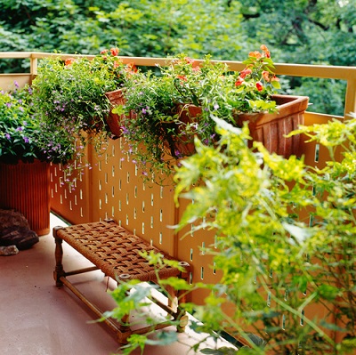 glass-rails-look-chic
