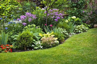 make-your-garden-a-blooming-cheerful-one