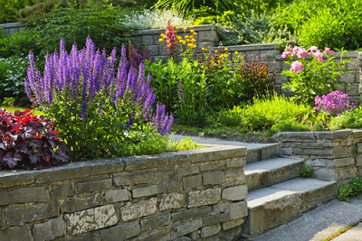 perennial-small-landscaping-garden