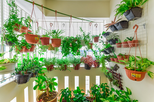 20 Small Balcony Garden Ideas For An, Window Garden Ideas Indian