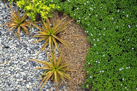 combine-tropical-garden-into-rock-garden