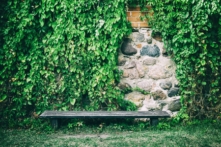 have-a-wooden-bench-in-your-minimalist-garden-decor