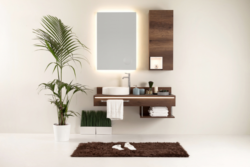 Bathroom Wall Almirah Design