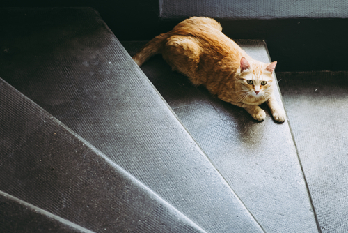 narrowing-steps-space-stairs-design