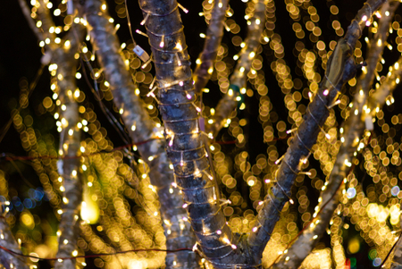 Light Up Your Garden with These 20 Garden Lighting Ideas - Magicbricks Blog