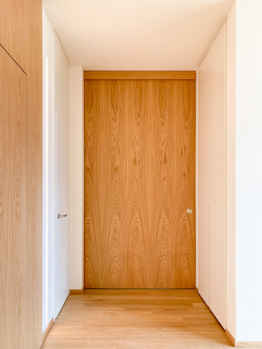 a-unique-door-matching-the-size-of-the-wall