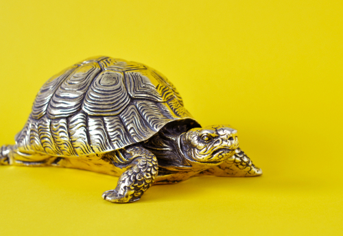 placing-a-feng-shui-tortoise-in-a-house