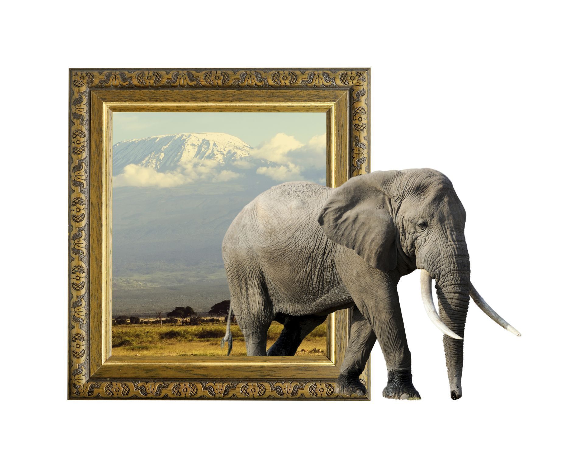 Elephant Large - Adorn Goods