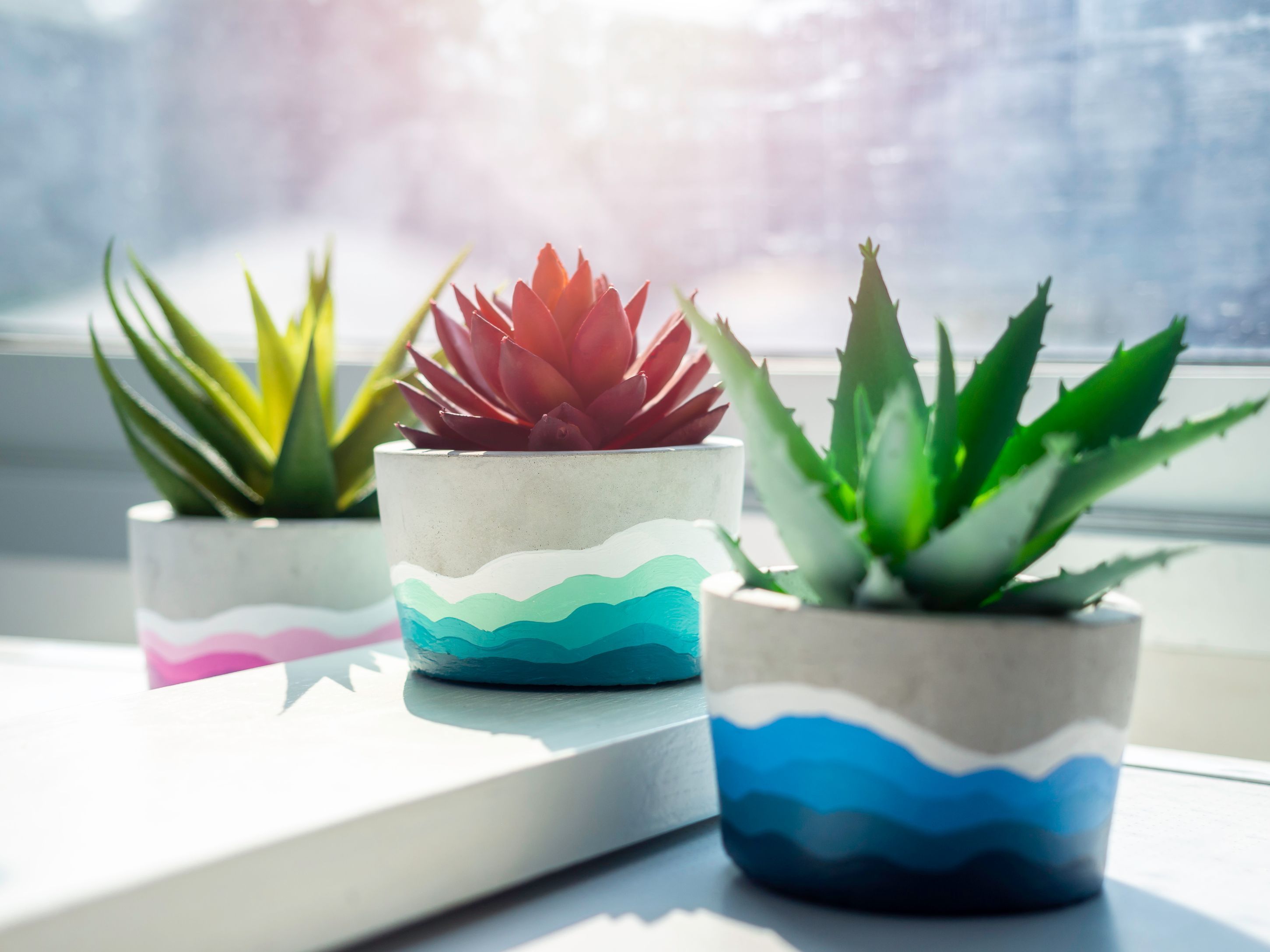 Paint Your Own Flower Pot Kit DIY Ceramic Garden Set for - Etsy