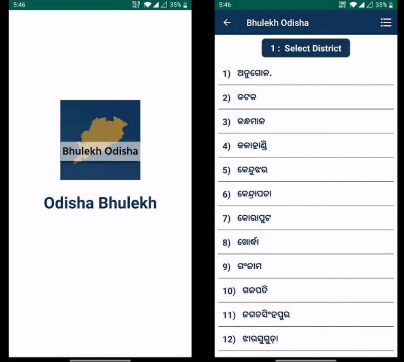 bhulekh odisha naksha