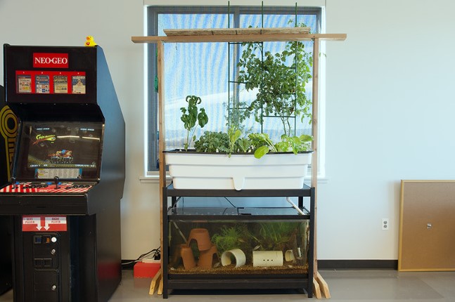 11 Unique Fish Tank or Aquarium Design Ideas for Your Home 11 Unique Fish Tank Or Aquarium Design Ideas For Your Home
