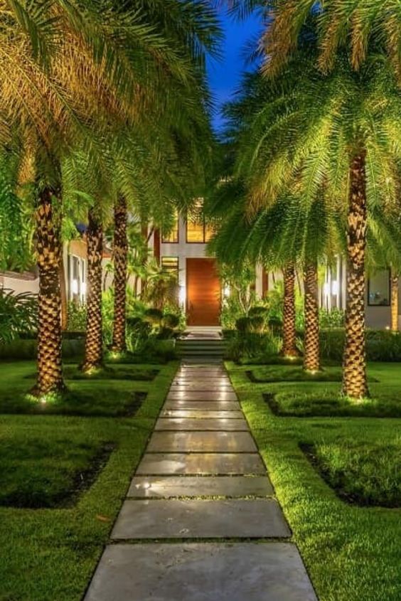 10 Front Yard Landscaping Ideas For, Front Yard Landscaping With Palm Trees