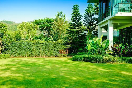 10 Front Yard Landscaping Ideas - For An Impactful Lawn Design