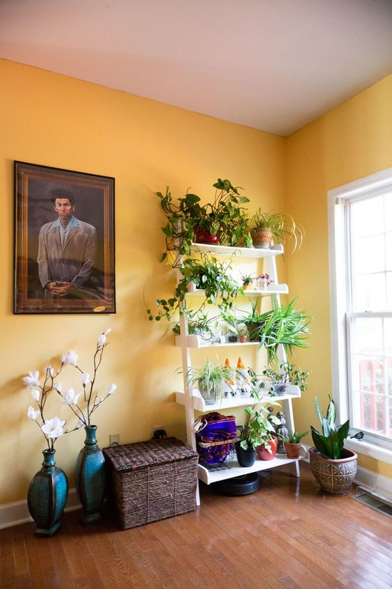 Example of bright yellow coloured wall for hall interior design