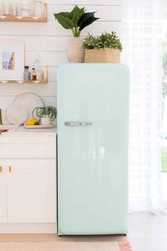 Plants for Easy Simple Kitchen Design Low Cost