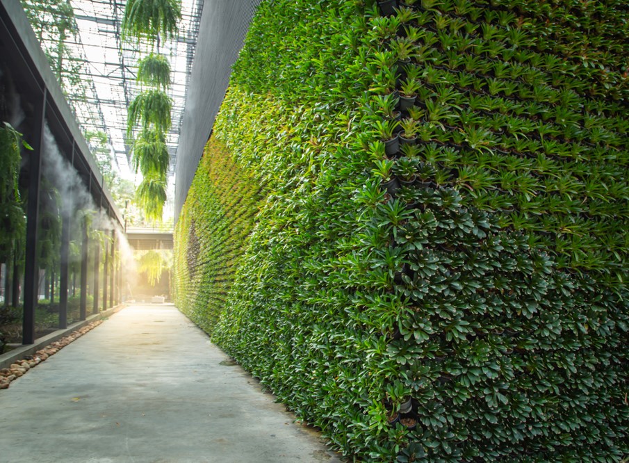 Lush-Green-buildings-flaunting-serenity-and-freshness
