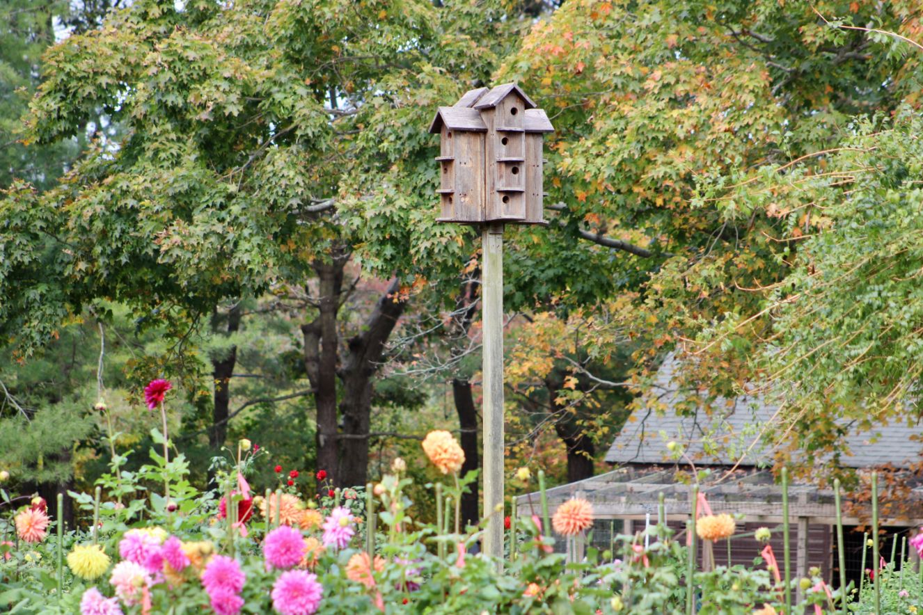 Garden Stakes Meaning, Types, Uses Decorative Garden Stakes