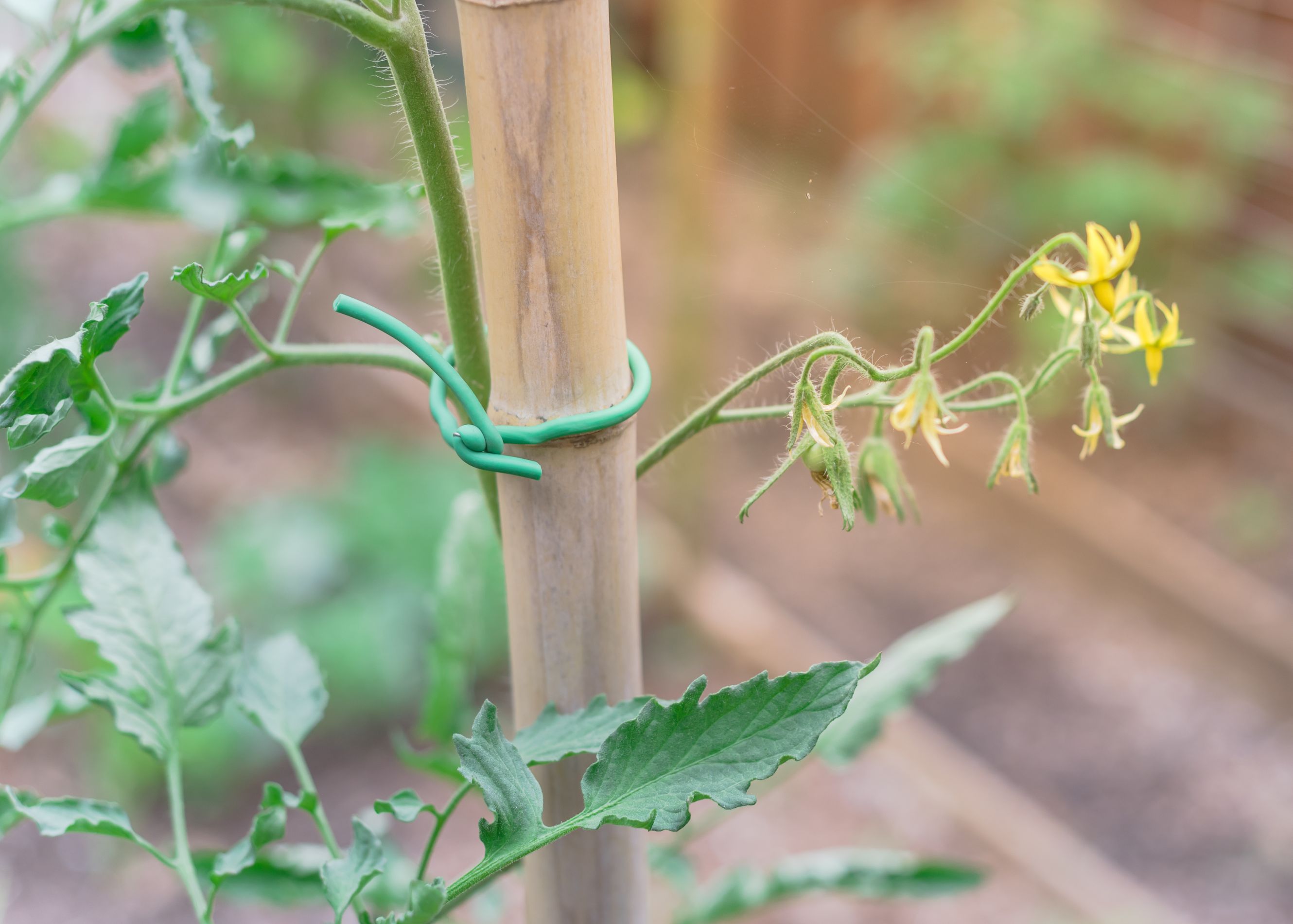 Garden Stakes Meaning, Types, Uses Decorative Garden Stakes