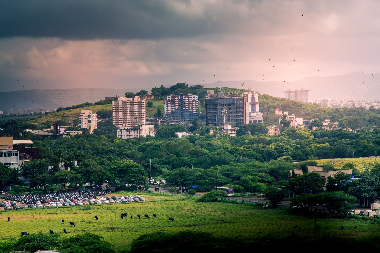 10 Most Livable Cities in India as Per Ease of Living Index