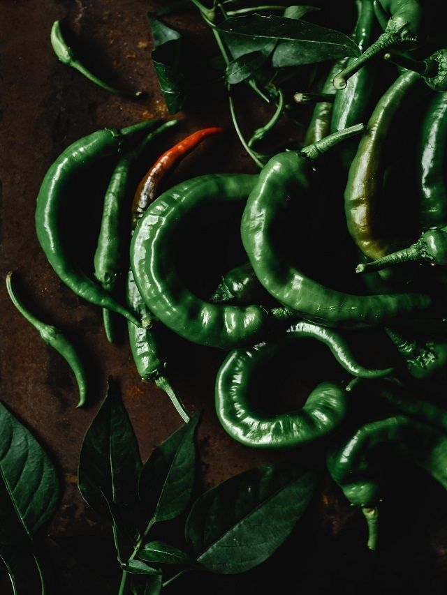 8 Easy Steps To Grow Green Chilli Plant At Home