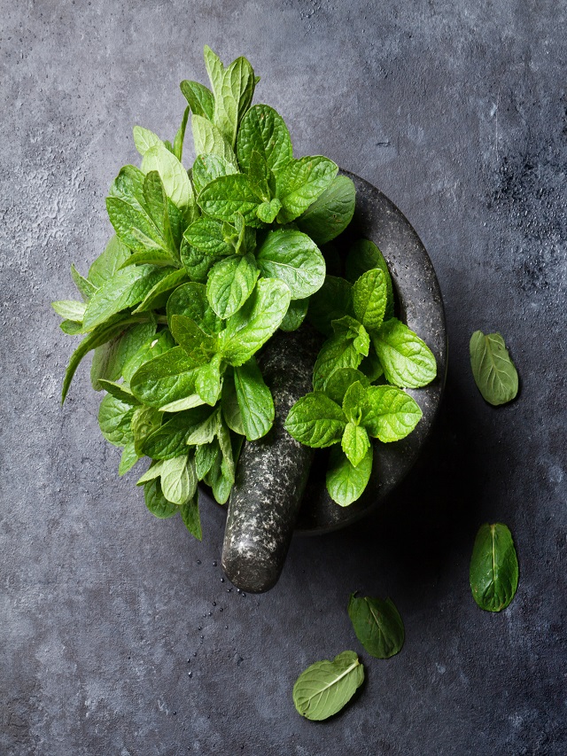 7 Vastu And Health Benefits Of Mint Leaves You Should Not Miss Out On