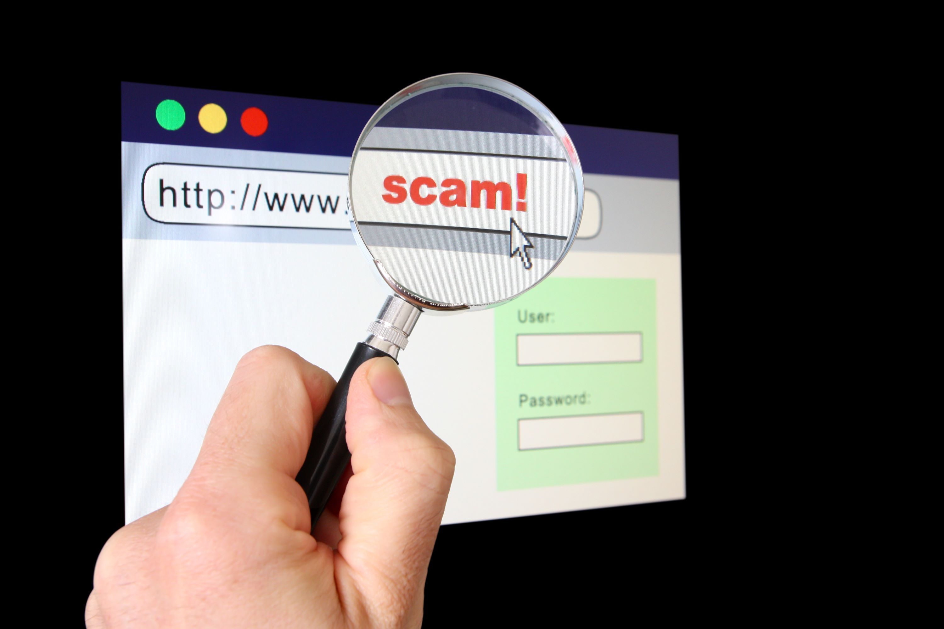 Lolosavo: Is It A Scam Or The Real Deal? - dzx9b5e