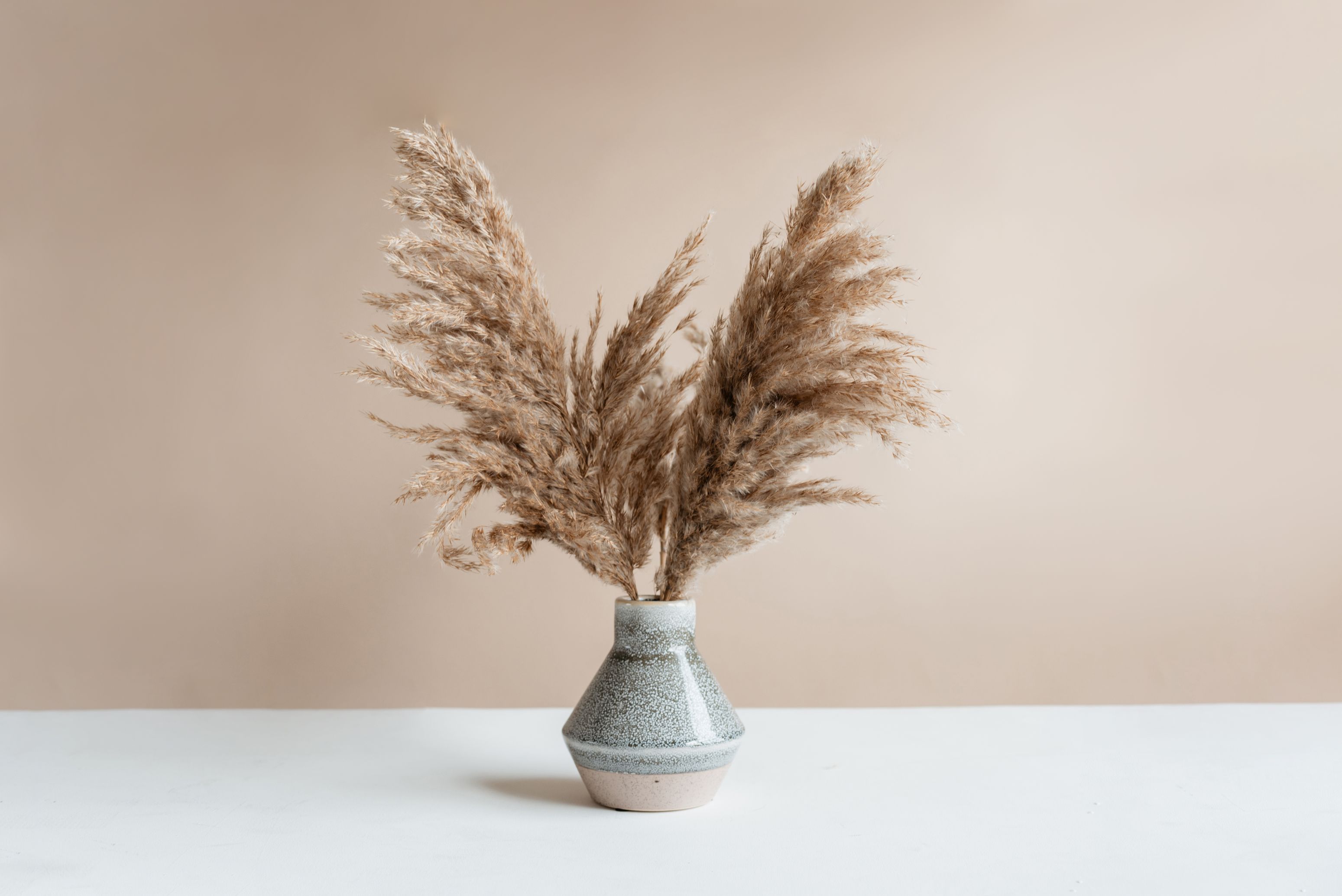 Pampas Grass Decor Meaning, Uses, and Decoration Ideas