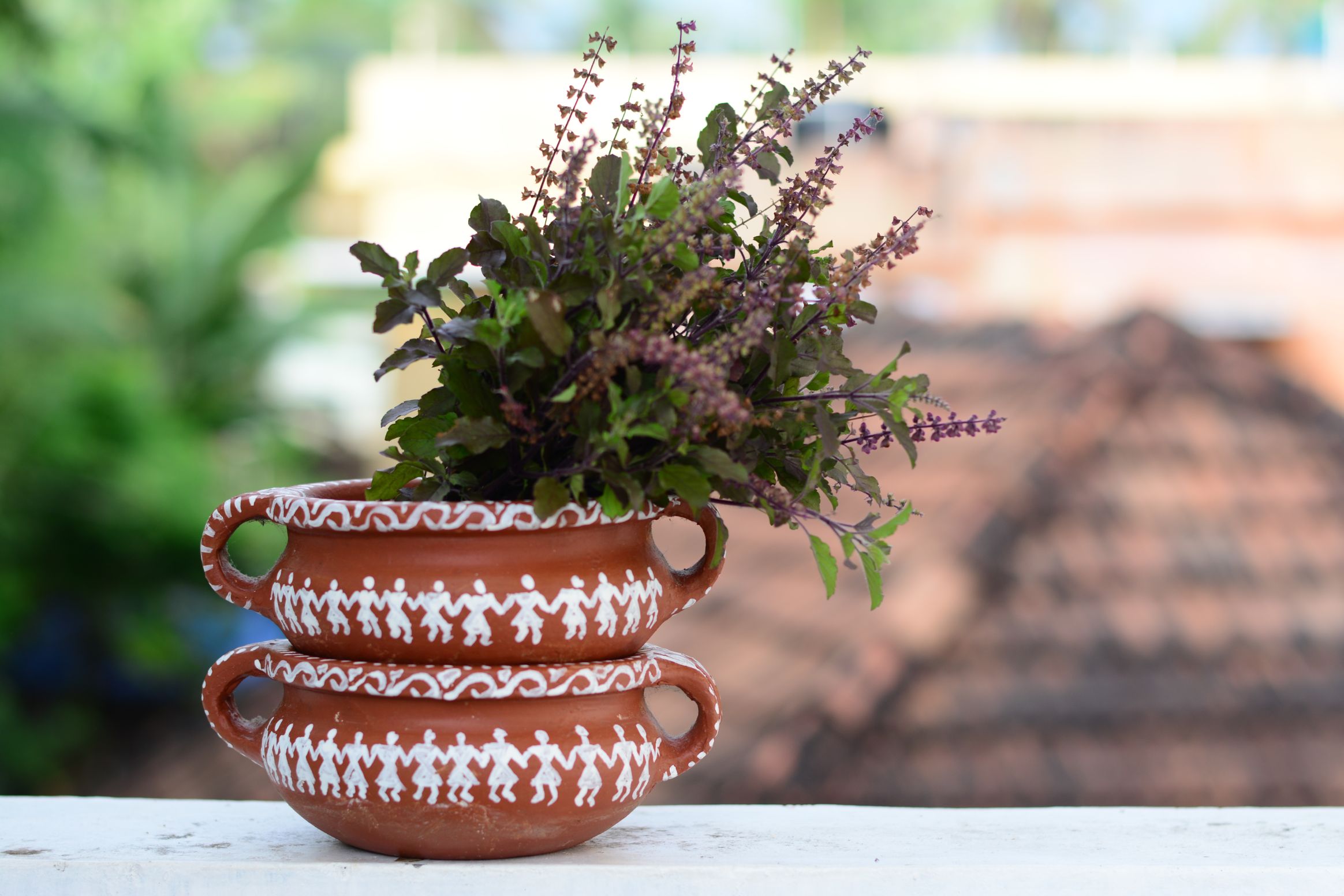 8 Indoor Plants That Release Oxygen At Night Plus Beautify Your Interiors