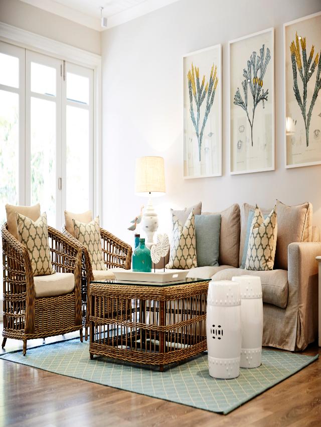 Cane Furniture Designs