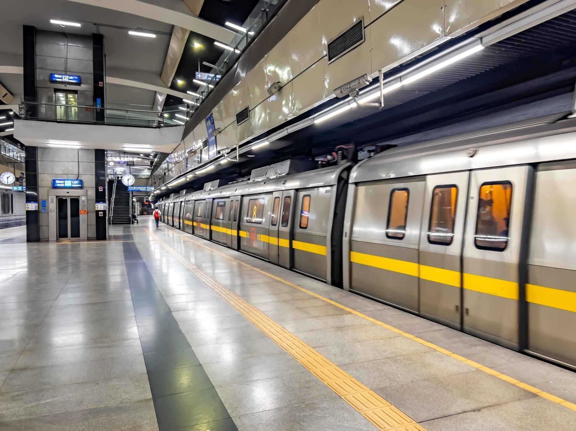 Tomatillo Leaves Everything You Need To Know delhi-metro-map-2025-stations-metro-lines-maps-yometro