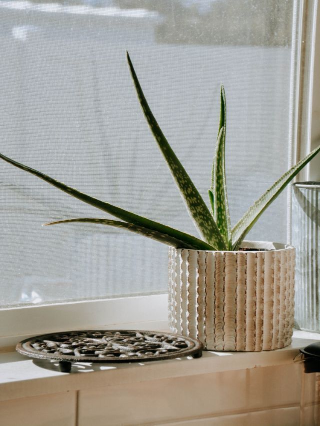Make Your Home the Fountain of Life With These Quick Feng Shui Tips!