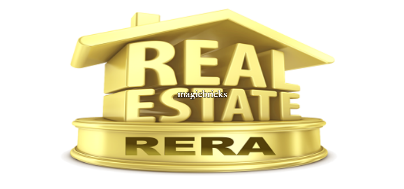 Check the RERA Status of your project
