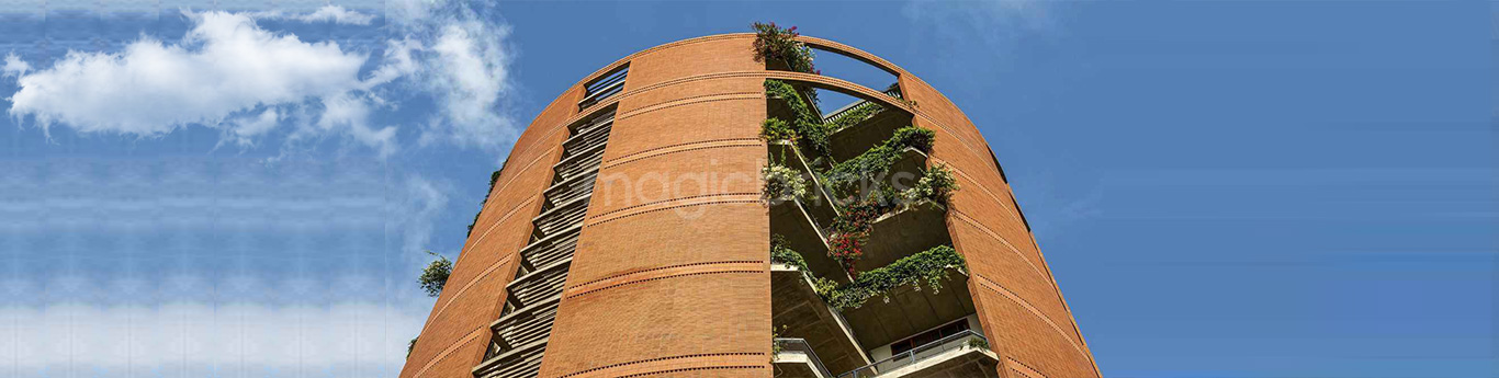 The Magic Faraway Tree In Kanakapura Road Bangalore The Magic