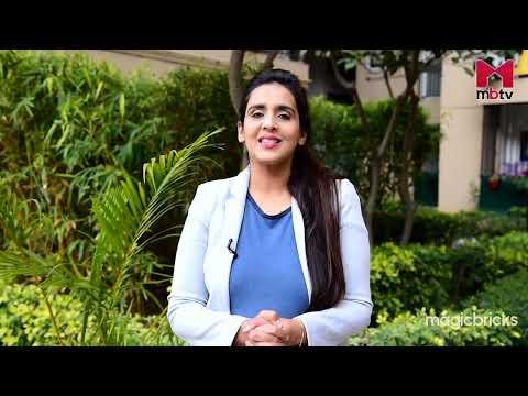 Expert Reviews &amp; Advice