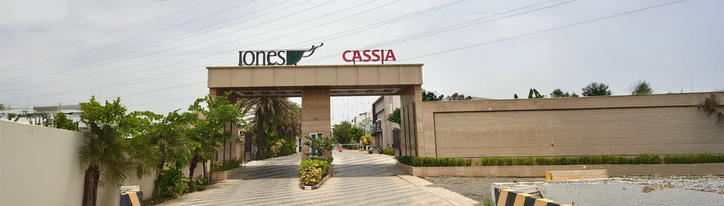 Jones Cassia
