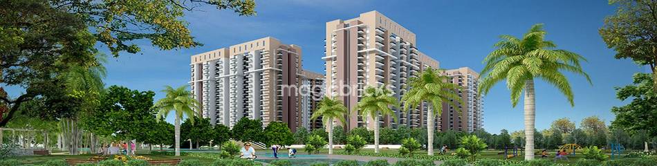 Housing Aura Round & Square at best price in Noida