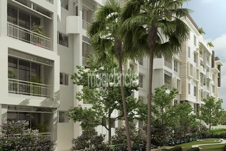Dream Exotica Residential Project