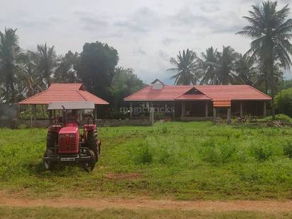 Krishi Farms of Keralam in Palakkad Main Road, Coimbatore: Price