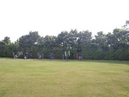 Vitality Cricket Academy in Faridabad Sector 79,Delhi - Best Cricket Clubs  in Delhi - Justdial