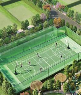 Spacious Multipurpose Sports Court