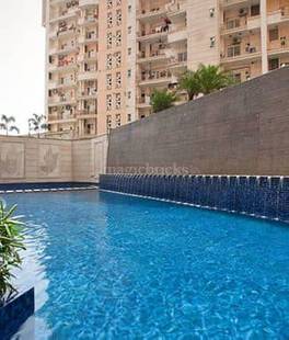 Outdoor Swimming Pool