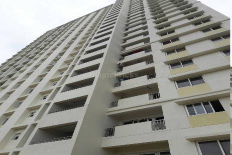 Rent 2 BHK Flat/Apartment in Mantri Celestia Gachibowli, Hyderabad ...