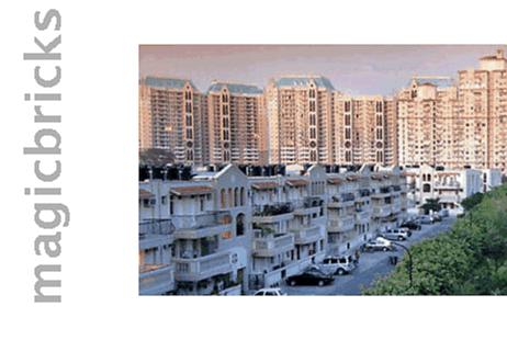 Made Up Your Mind To Buy Apartment In Ireo Skyon Sector 60 Gurgaon Our Property Advisers Are Always Available T Apartments For Rent Gurgaon Apartment