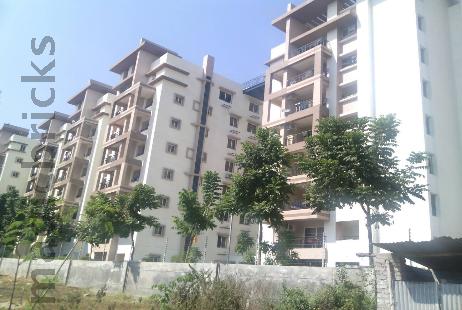 Ektha Basil Heights Rent Flats for Rent in Ektha Basil Heights