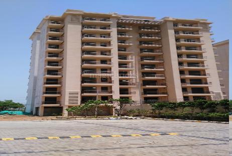 3 Bhk 2190 Sq Ft Apartment For Sale In Gpl Eden Heights At Rs 1 37 Cr Gurgaon