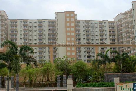 5BHK Multistorey Apartment for Resale in Tulip Ace at Sector 89 5BHK Multistorey Apartment for Resale in Tulip Ace at Sector 89