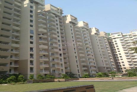 Ajnara Daffodil in Sector 137, Noida: Price, Brochure, Floor Plan, Reviews