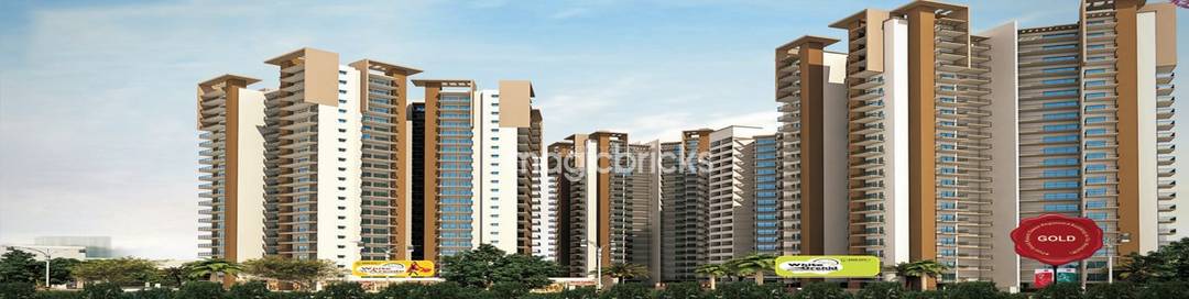 White Orchid in Noida Extension, Noida: Price, Brochure, Floor Plan ...